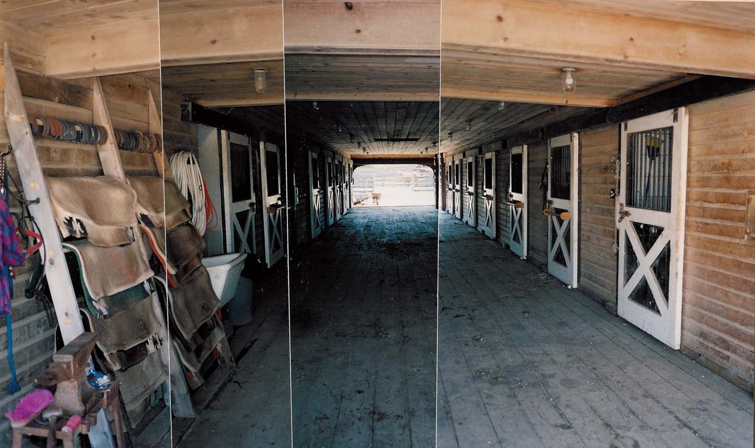 Hamptons Commercial Horse Farms